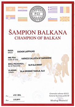 Champion of Balkan