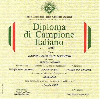 Champion of Italy