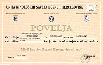 Junior Champion of Bosnia and Herzegovina Junior Champion of Bosnia and Herzegovina