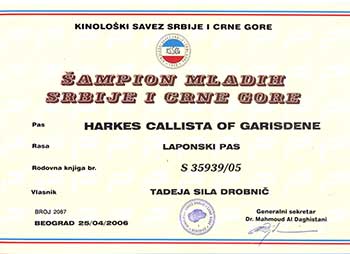 Junior Champion of Serbia and Montenegro Junior Champion of Serbia and Montenegro