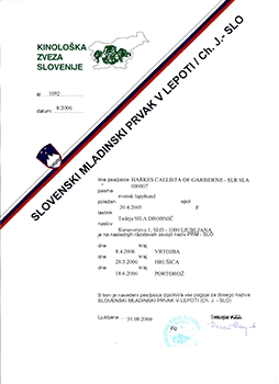 Junior Champion of Slovenia Junior Champion of Slovenia