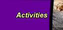 Activities