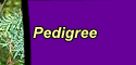 Pedigree