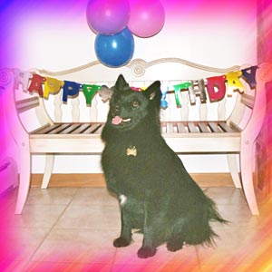 Badji's first birthday