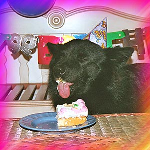 Badji's first birthday